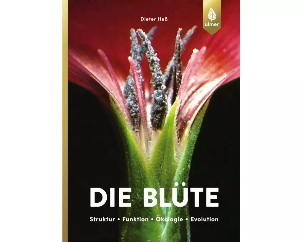 Die Blüte
