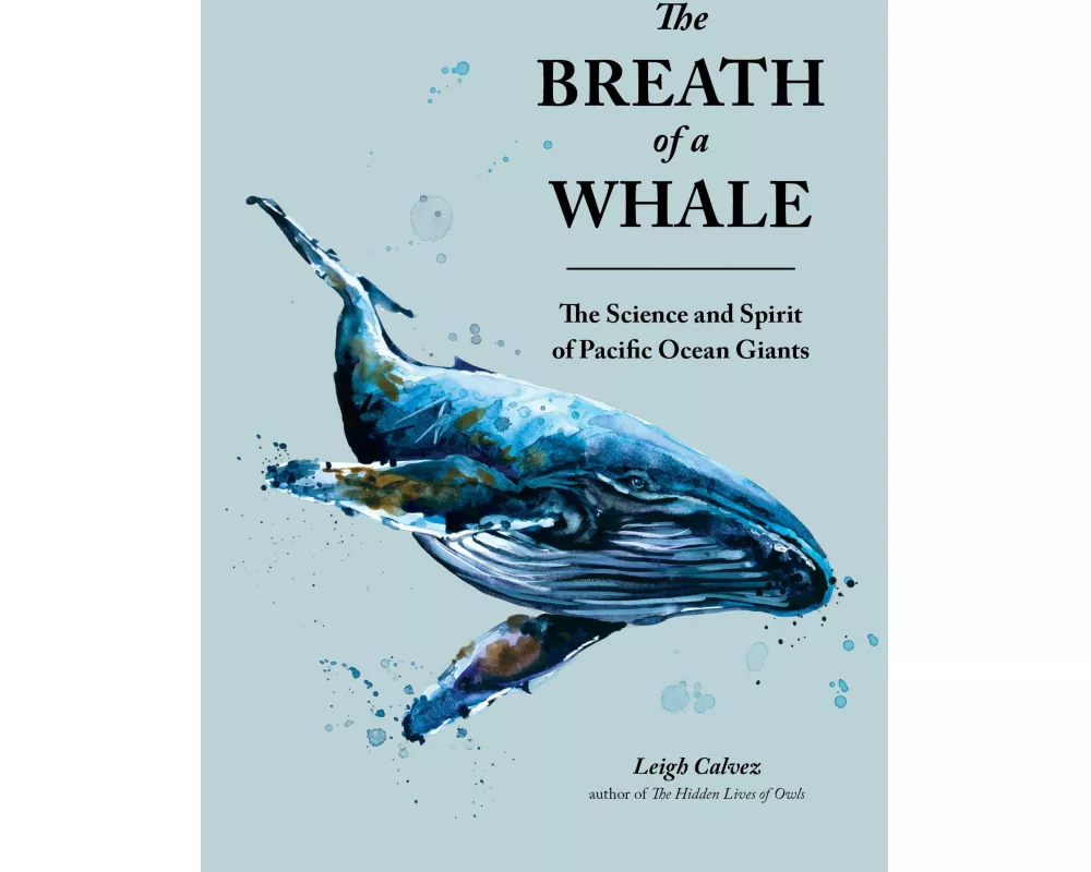 The Breath of a Whale