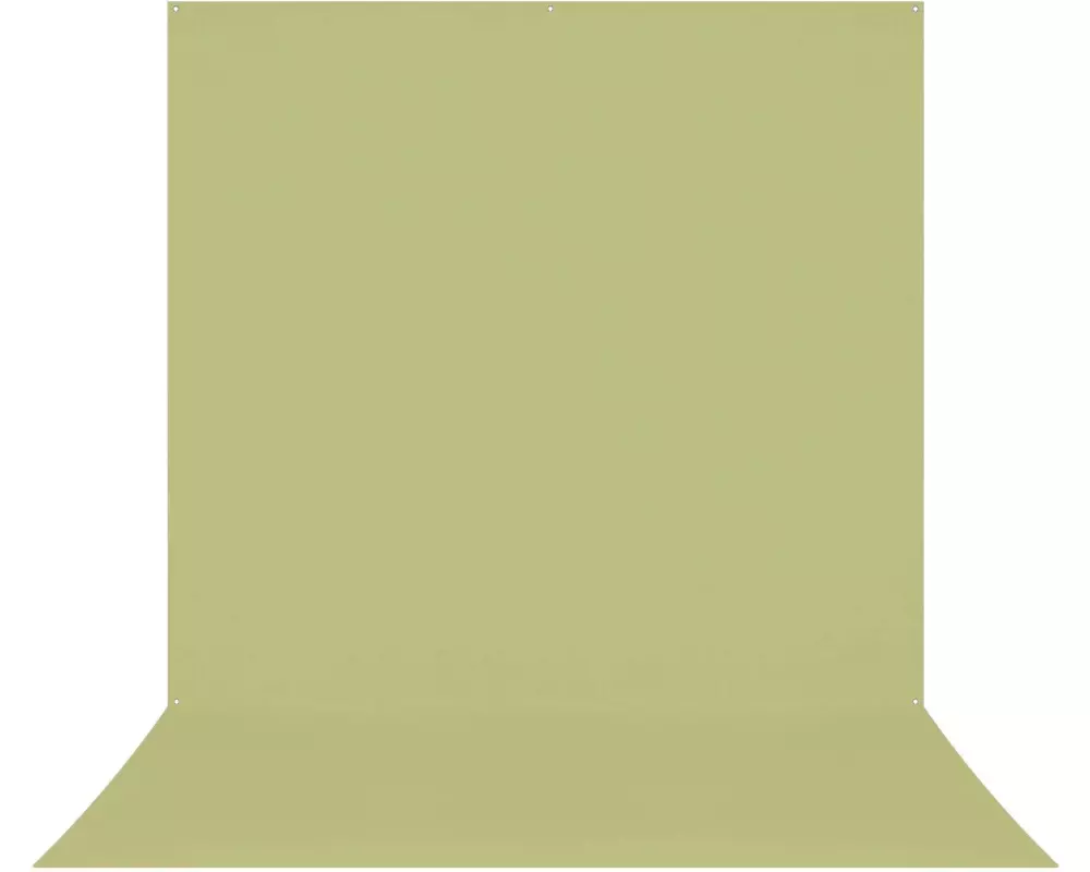 Westcott Hintergrund X-Drop Pro 246 x 400 cm Light Green