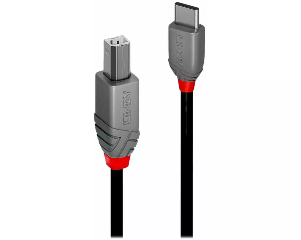 LINDY 2m, USB 2.0, Type C to B, Cable, Anthra, Line