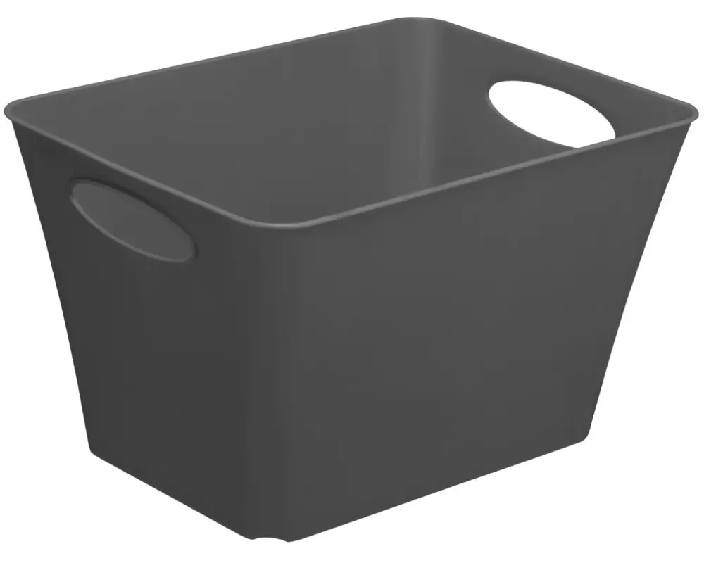 Rotho Aufbewahrungsbox Living Box 44 l, Anthrazit