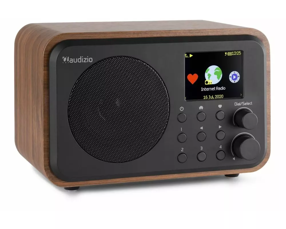 Audizio Internet Radio Venice Braun