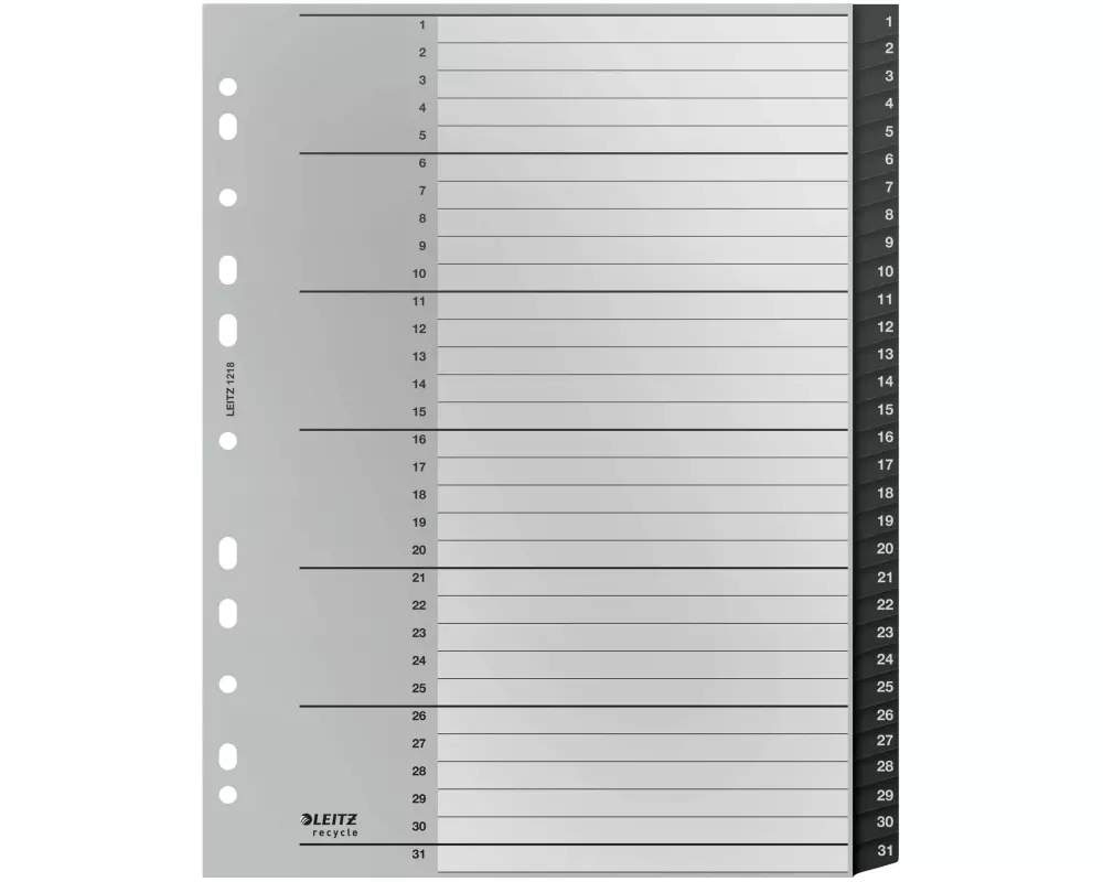 Leitz Register Recycle PC-beschriftbares Register 1-31, A4