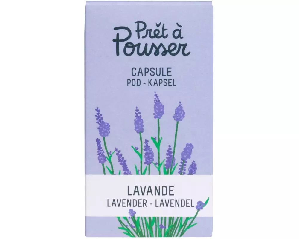 Prêt à Pousser Samen Lavendel