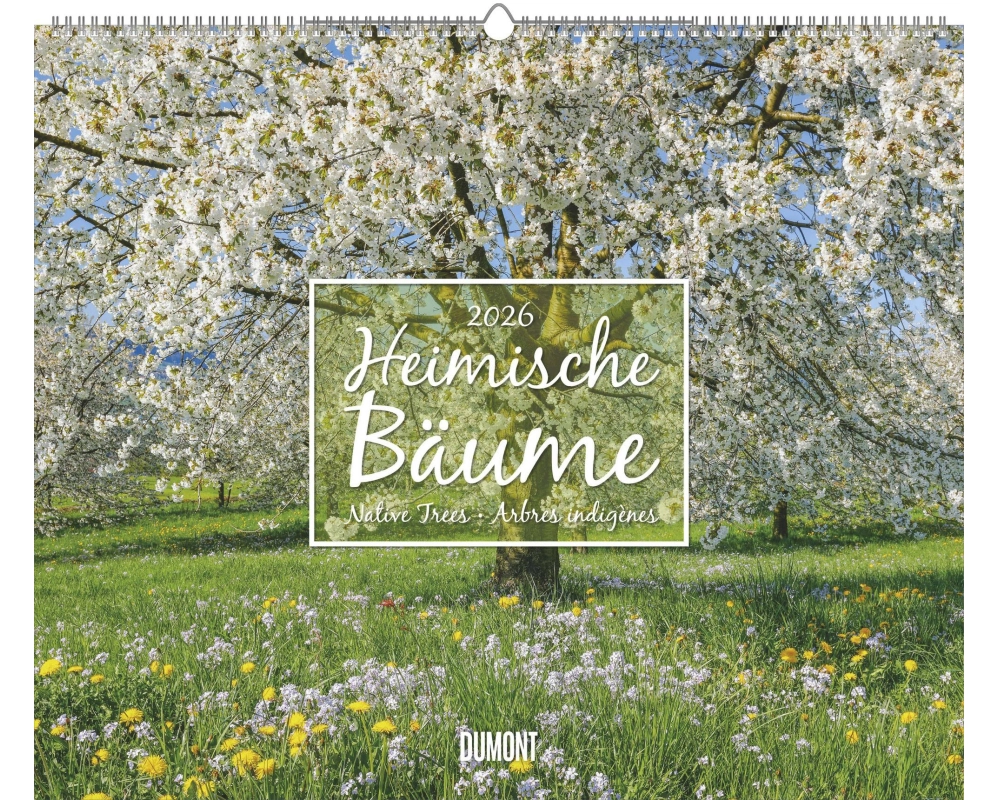 DUMONT Bildkalender 2026 260364 Bäume ML 58.4x48.5cm