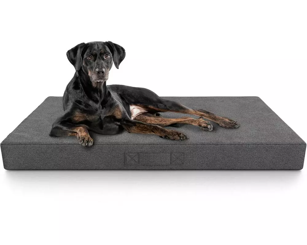 Knuffelwuff Orthopädische inkontinenz Hundematte Lenie XXL, Grau