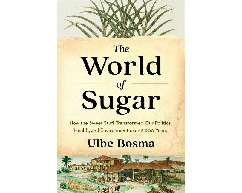 The World of Sugar