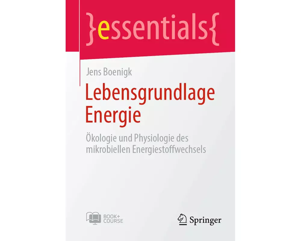 Lebensgrundlage Energie