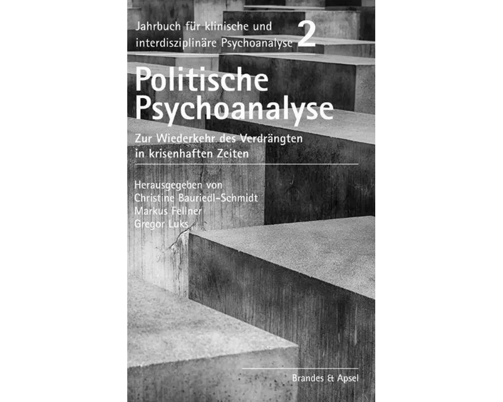 Politische Psychoanalyse