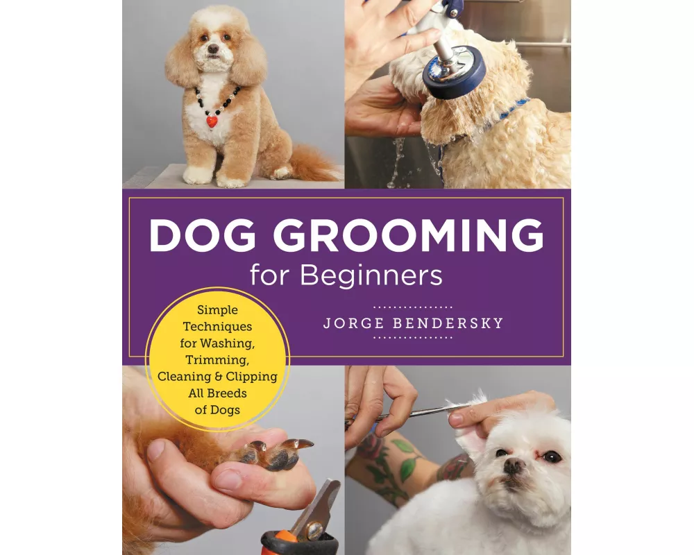 Dog Grooming for Beginners