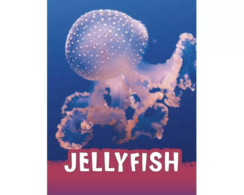 Jellyfish