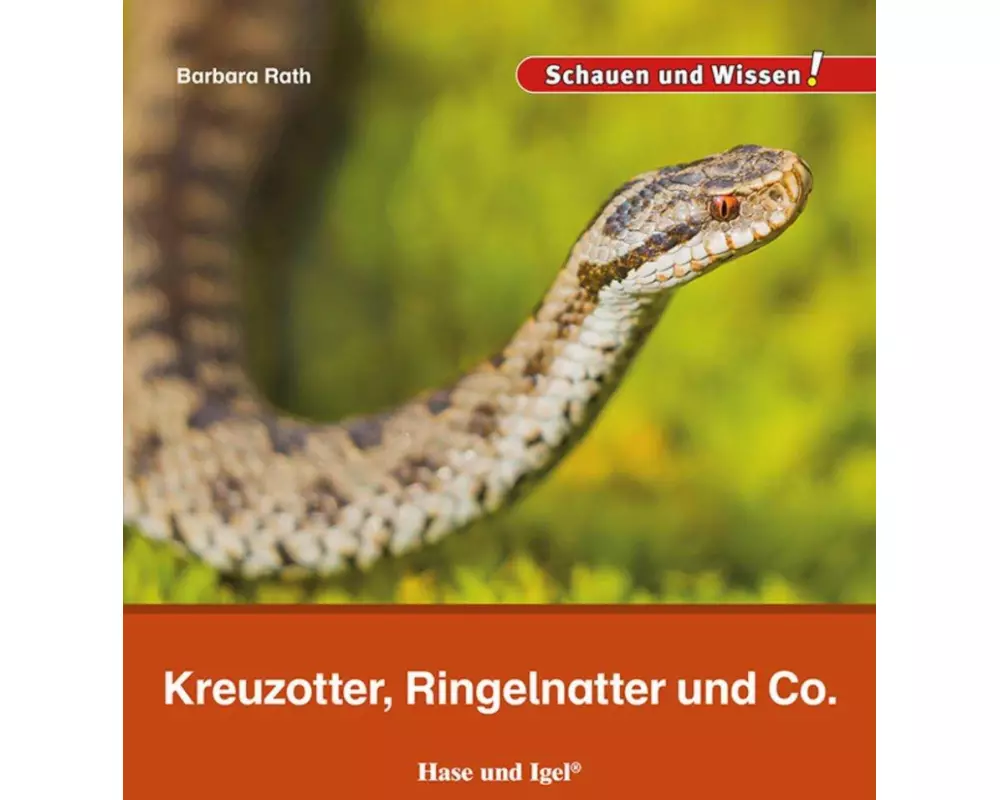 Kreuzotter, Ringelnatter und Co