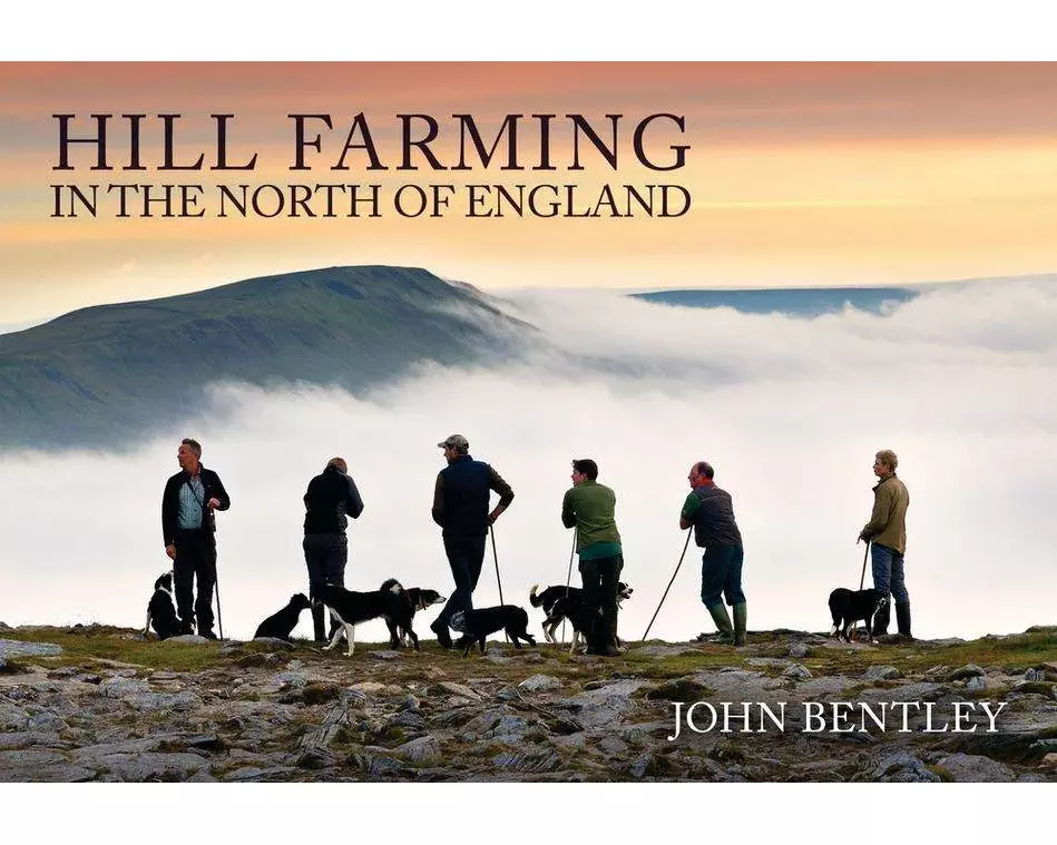 Hill Farming in the North of England