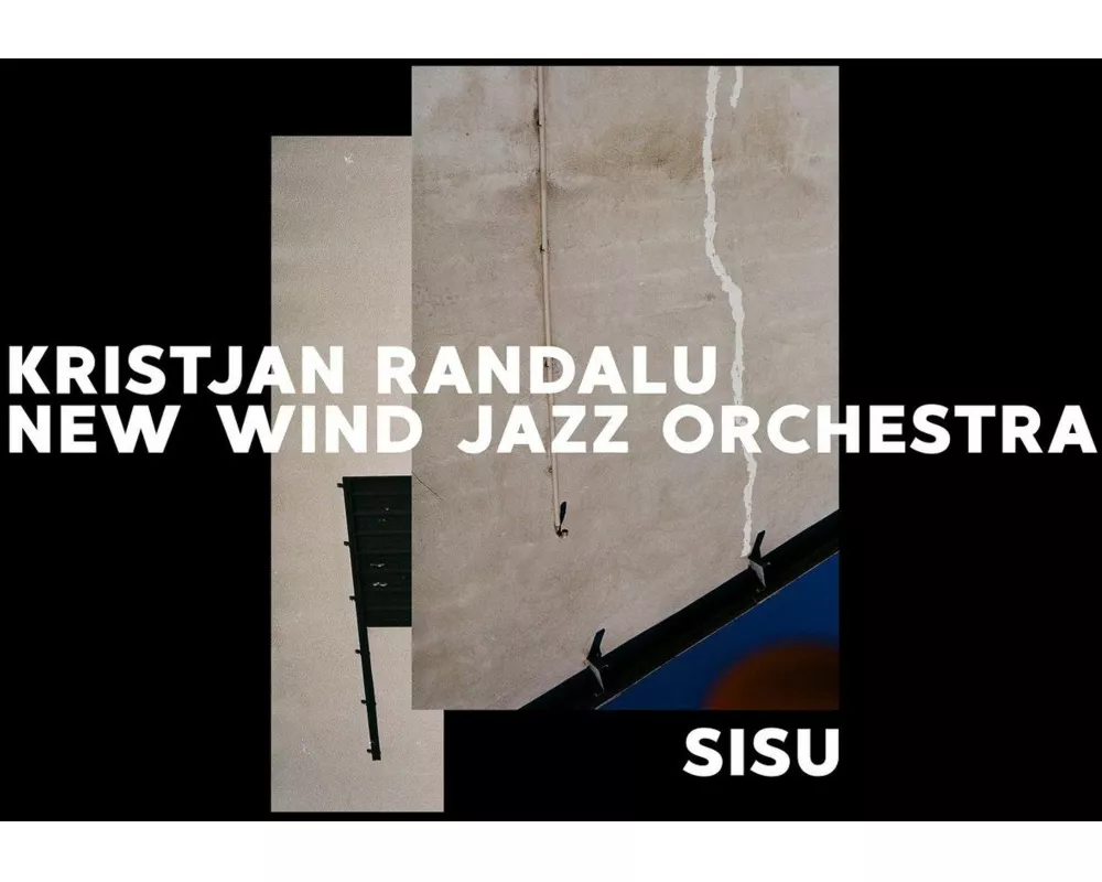 Sisu