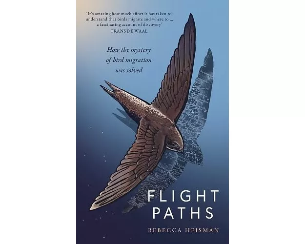 Flight Paths