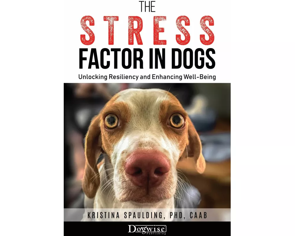The Stress Factor in Dogs