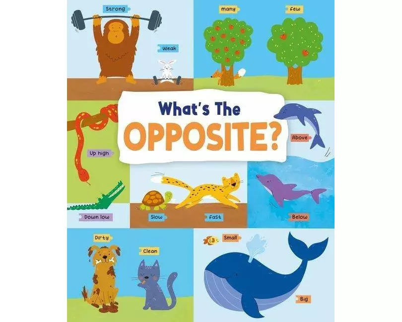 What's the Opposite?