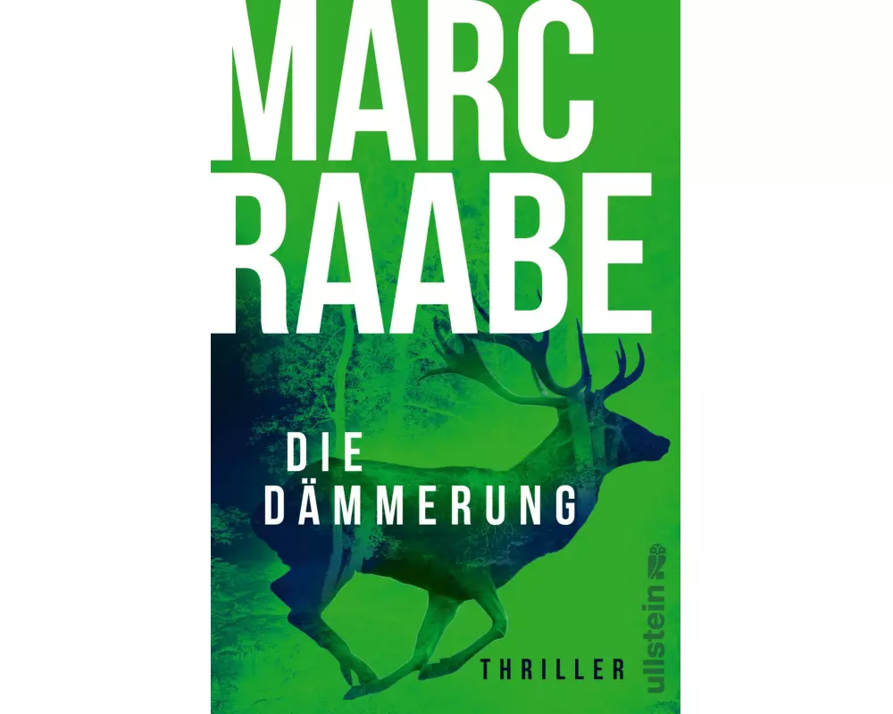 Die Dämmerung (Art Mayer-Serie 2)