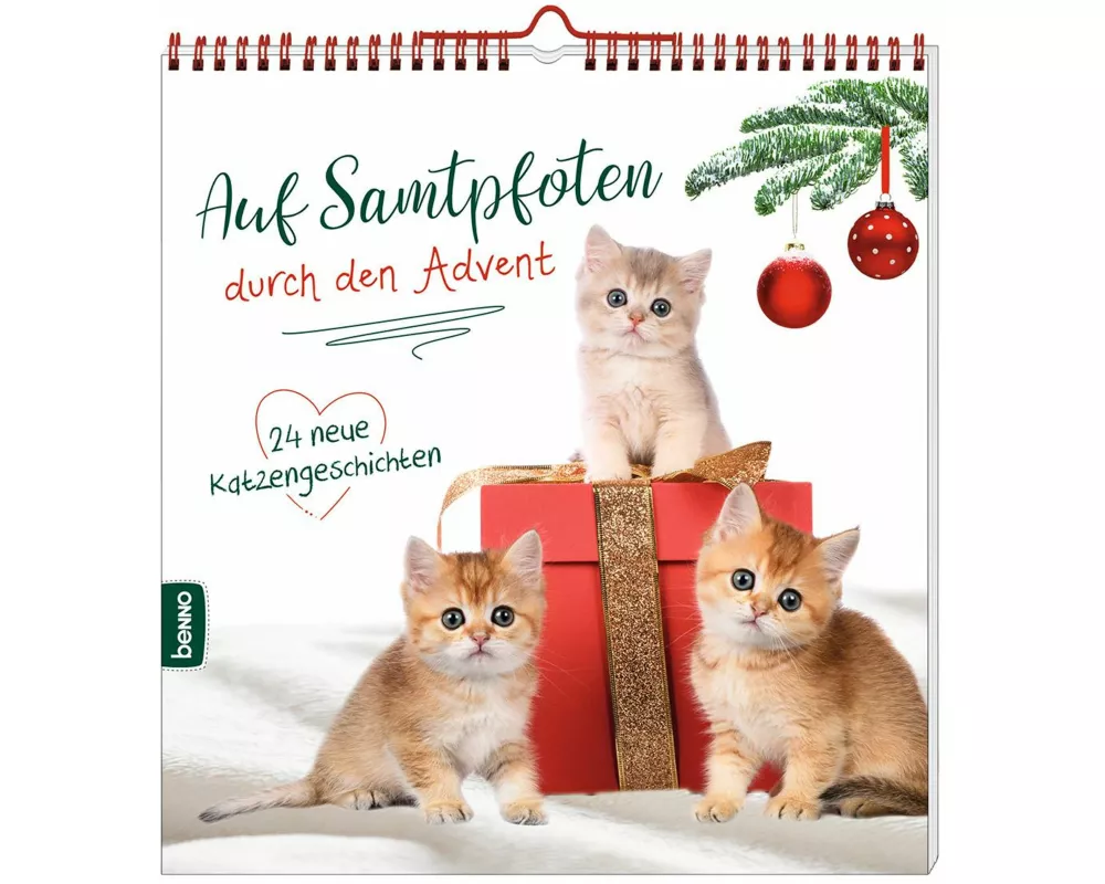 Auf Samtpfoten durch den Advent