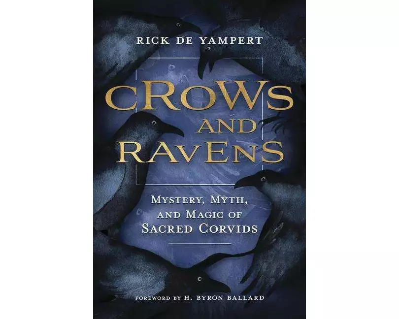 Crows and Ravens
