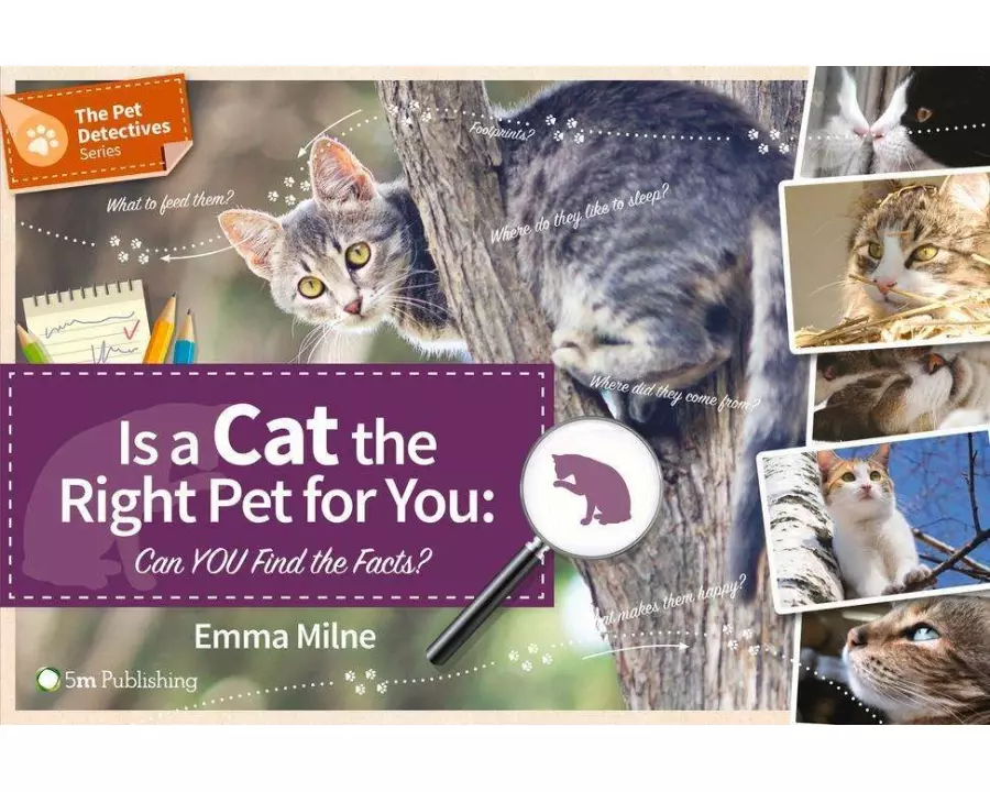 Is a Cat the Right Pet for You