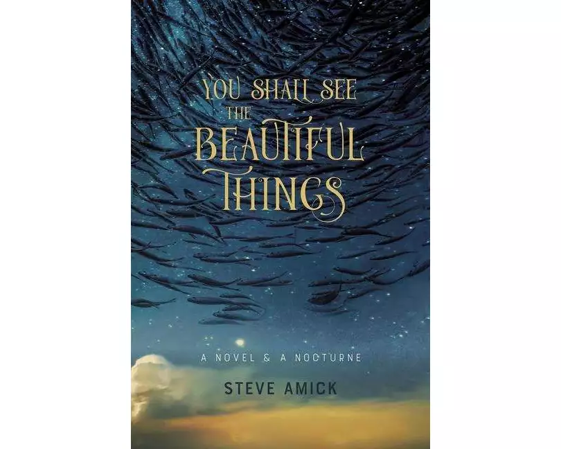 You Shall See the Beautiful Things – A Novel & A Nocturne