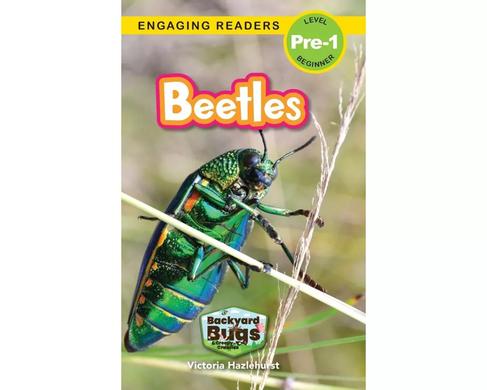 Beetles