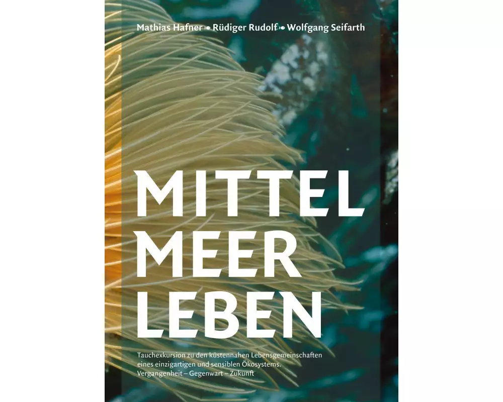 Mittelmeerleben