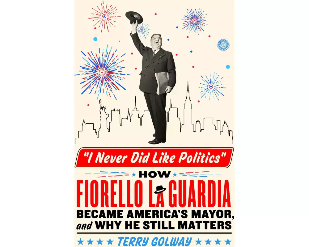 I Never Did Like Politics