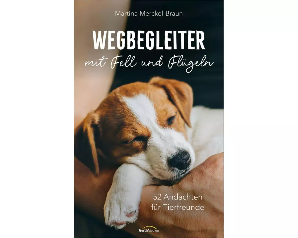 Wegbegleiter mit Fell und Flügeln