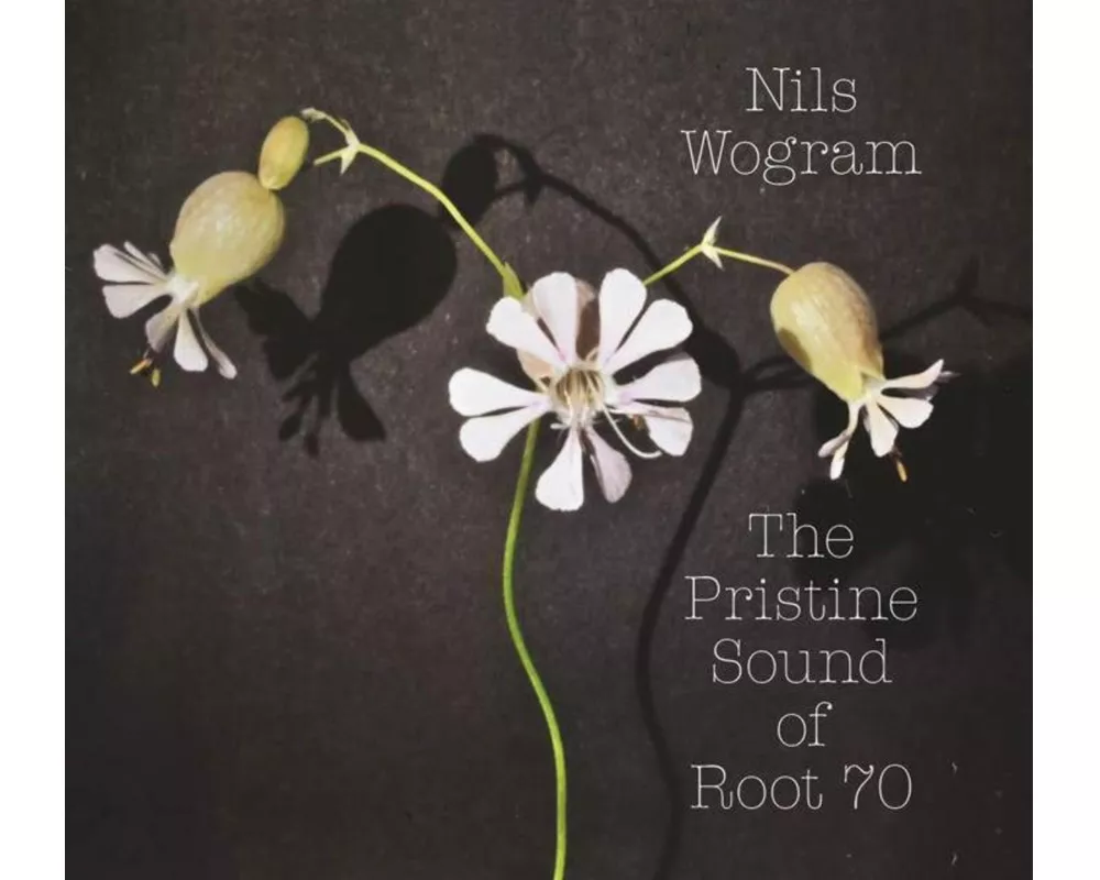 The pristine sound of Root 70