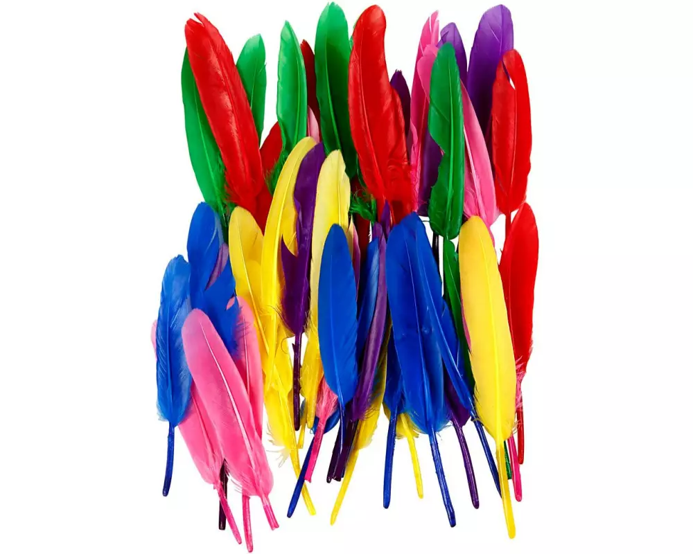 Creativ Company Federn sortierte Farben, 13 cm, 48 Stk