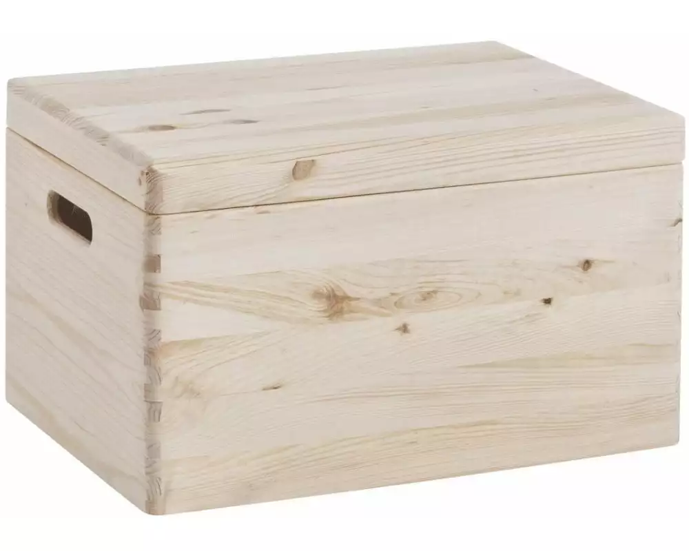 Zeller Present Aufbewahrungskiste mit Deckel 40 x 23 cm, Nature