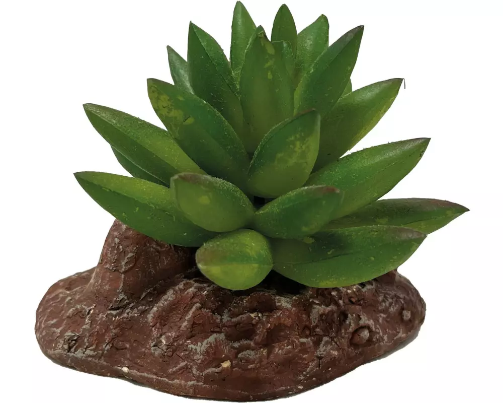Repto Deco Plant Aloes, 10 cm