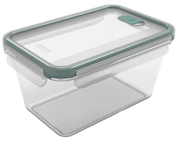 Rotho Kühlschrankdose NALA 2.2 l, Transparent