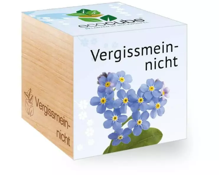 Feel Green Ecocube Vergissmeinnicht