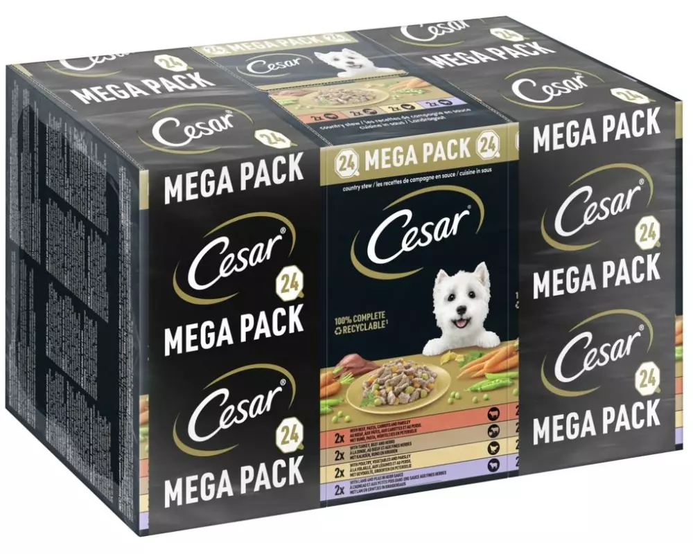 Cesar Nassfutter Landragout 4 Varietäten 24 x 150 g