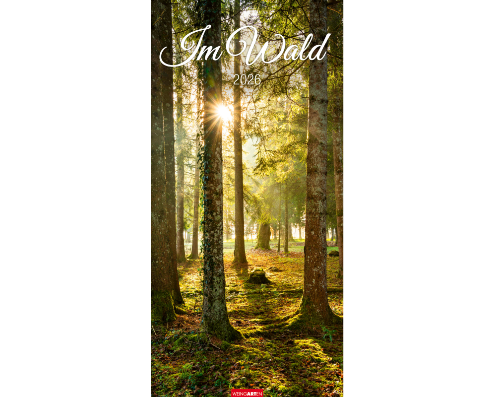 WEINGARTEN Bildkalender 2026 3150200+26 Im Wald DE 33x68cm