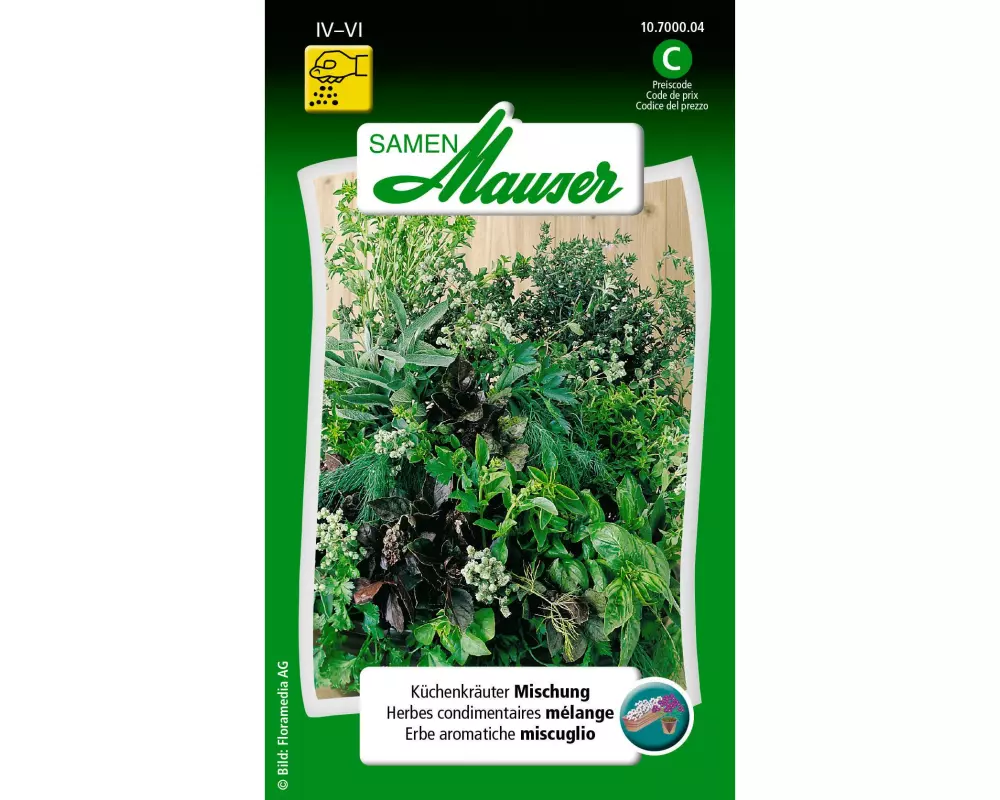 Samen Mauser Samen Küchenkräuter Mischung