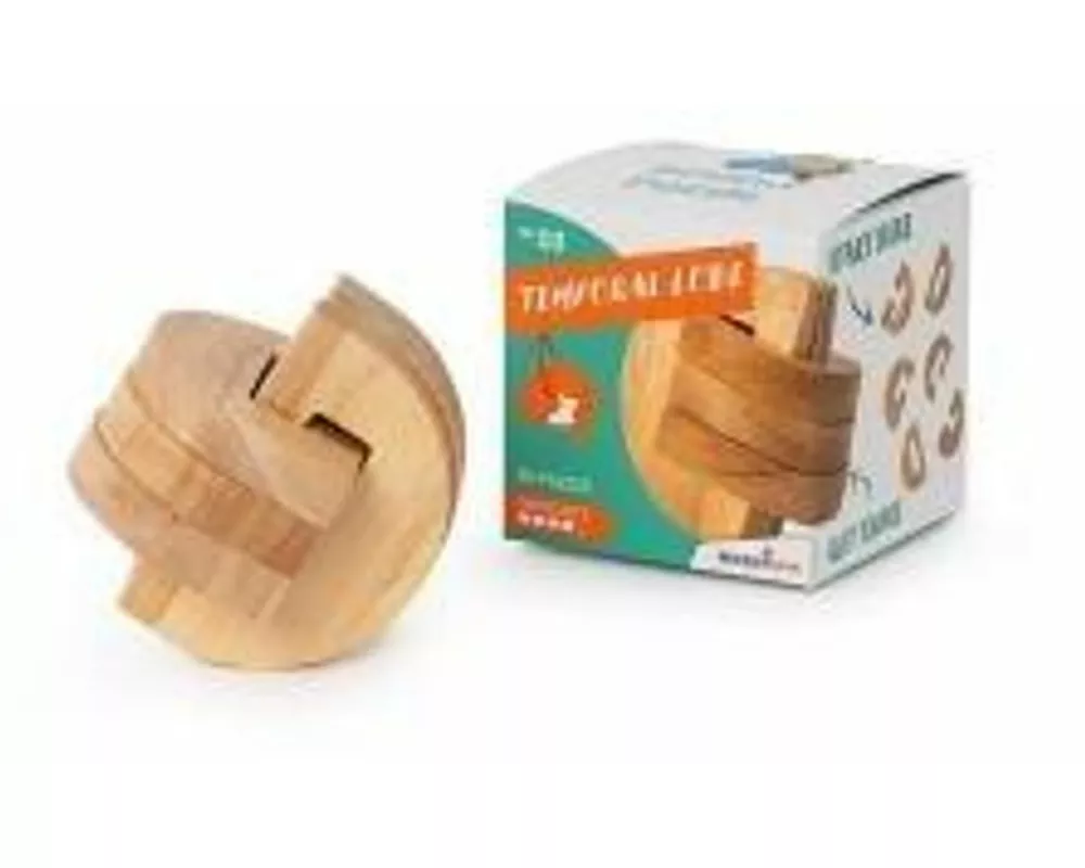 Brain Puzzle Nr.3 Temporal Lobe