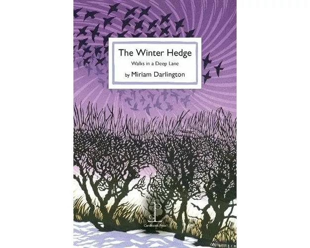 The Winter Hedge