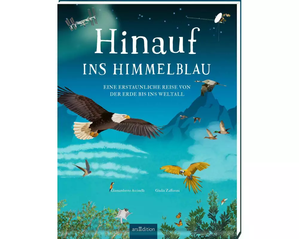 Hinauf ins Himmelblau