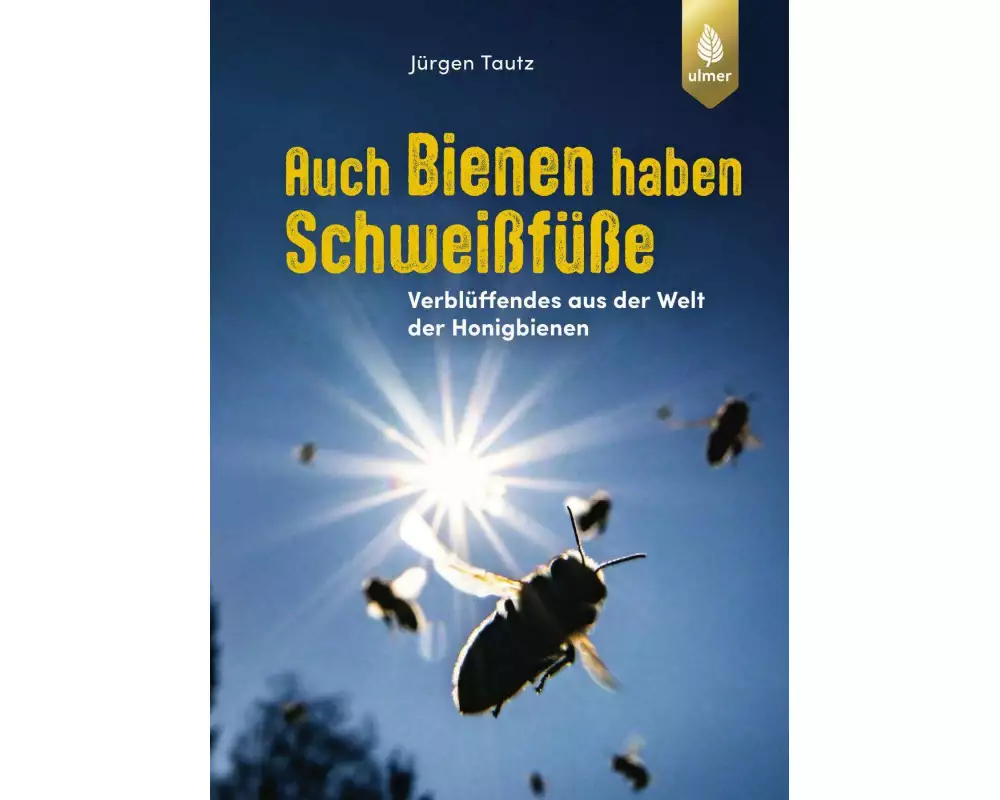 Auch Bienen haben Schweißfüße