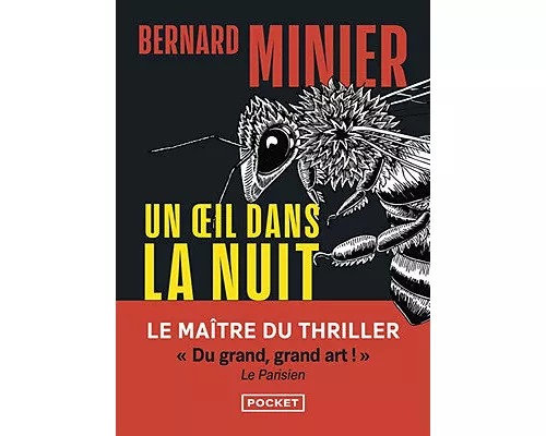 Un oeil dans la nuit