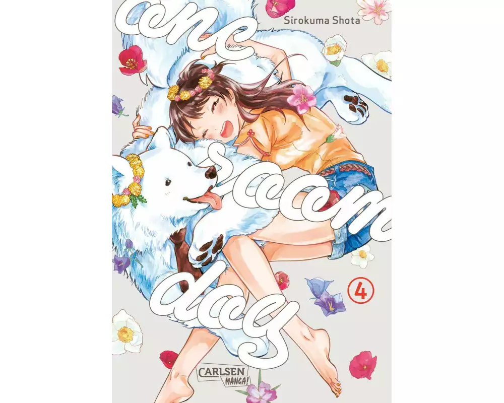 One Room Dog 4