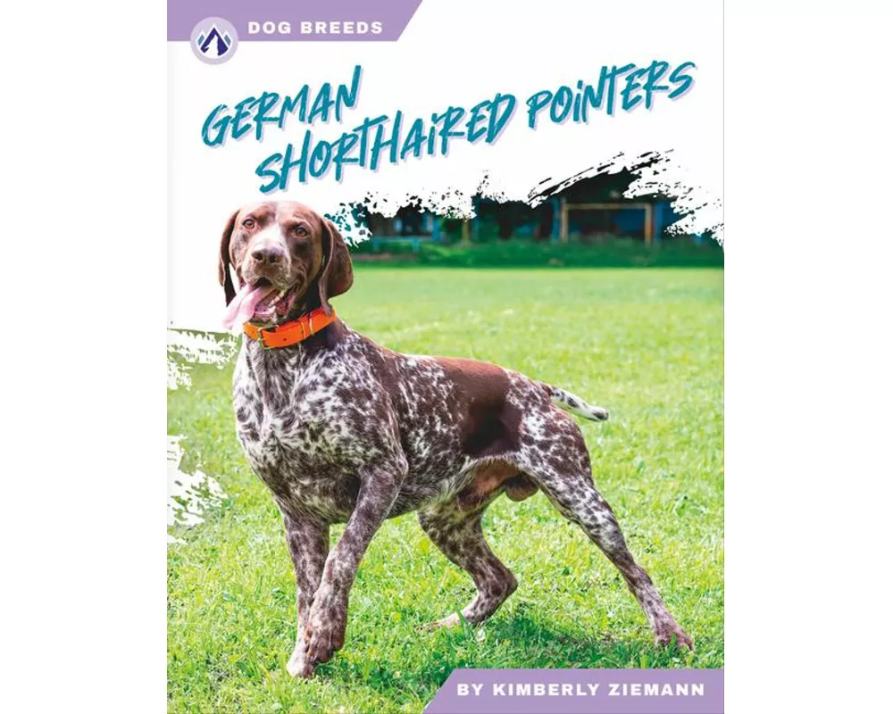 German Shorthaired Pointers