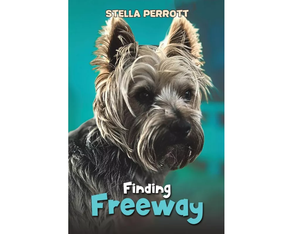 Finding Freeway