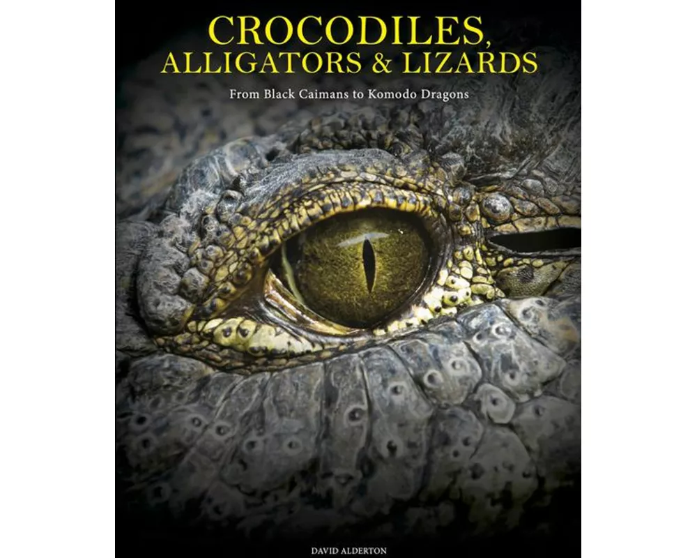 Crocodiles, Alligators & Lizards
