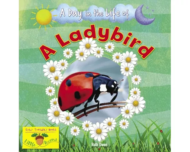 A Ladybird