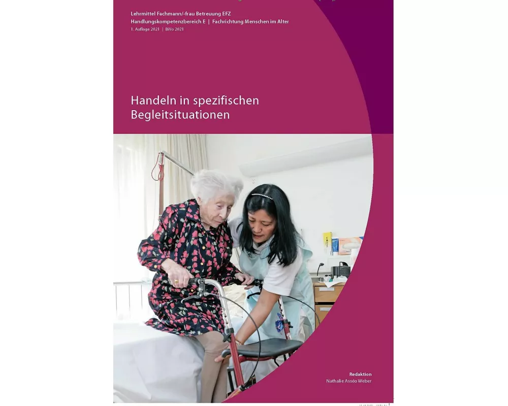 Handeln in spezifischen Begleitsituationen